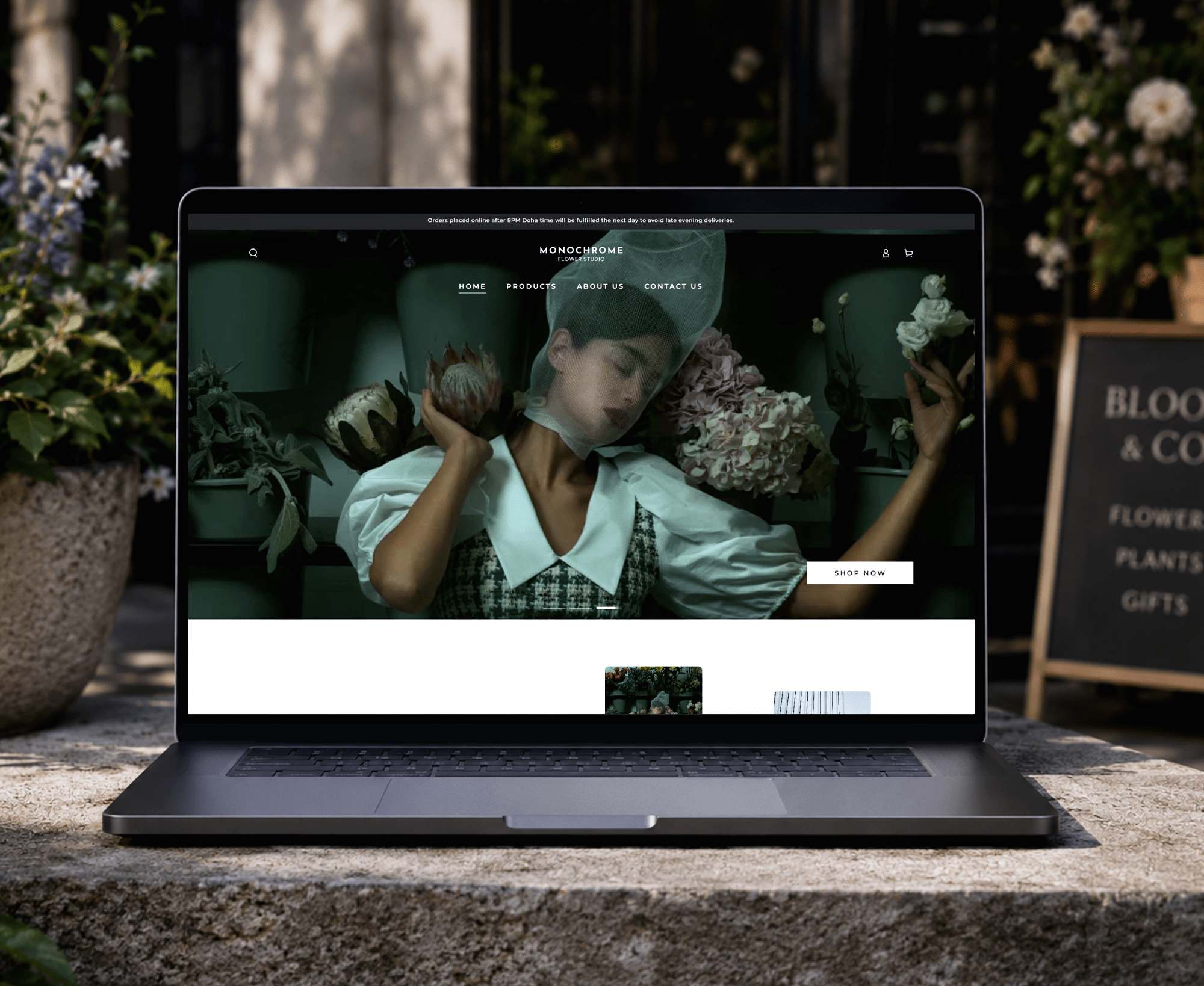 Monochrome
